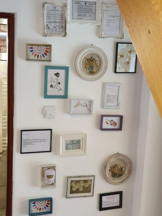 Casa Lucky Hotel Rîşnov Luaran gambar