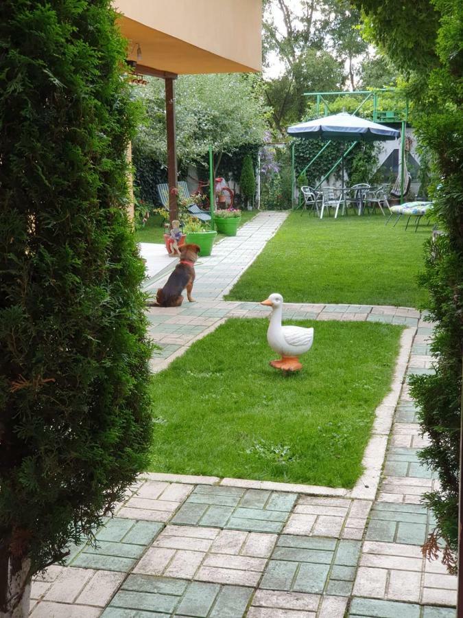 Casa Lucky Hotel Rîşnov Luaran gambar